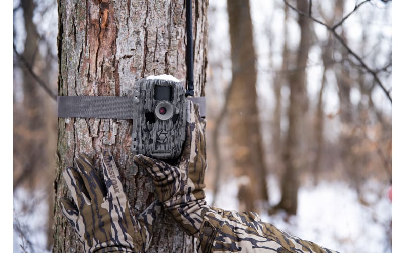 Stealth Cam Fusion Pro Max Cellular Trail Camera Cabela's