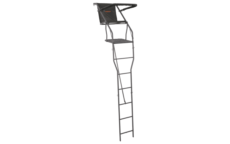 Man On Ladder