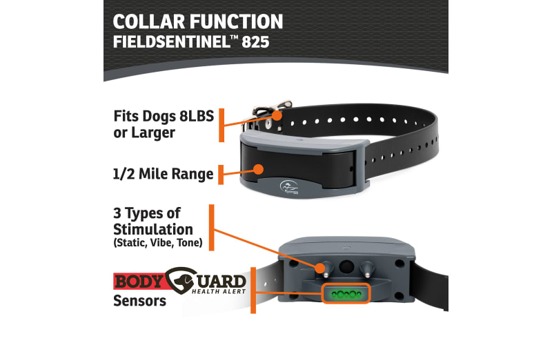 Cabelas sportdog sale