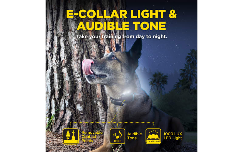 Cabelas dogtra clearance