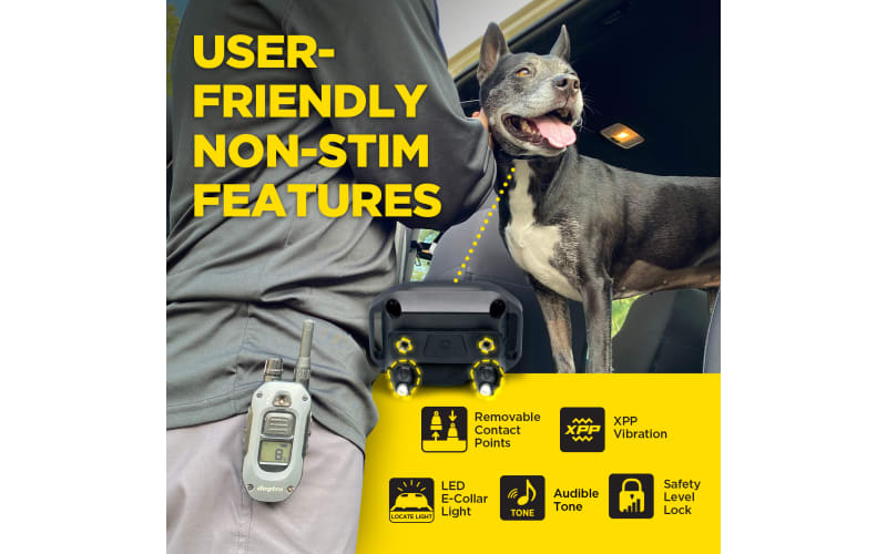 Dogtra 280X Electronic Collar Training System for Dogs Cabela s
