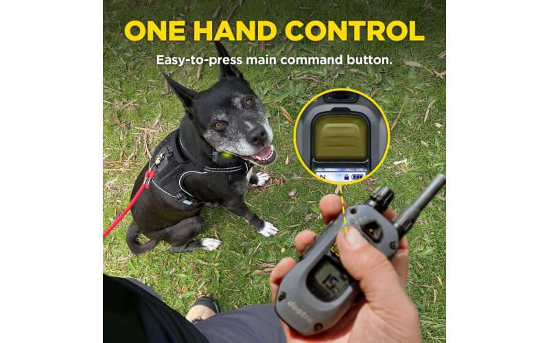 Dogtra 280X Electronic Collar Training System for Dogs Cabela s