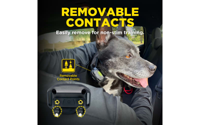 Dogtra 280X Electronic Collar Training System for Dogs Cabela s