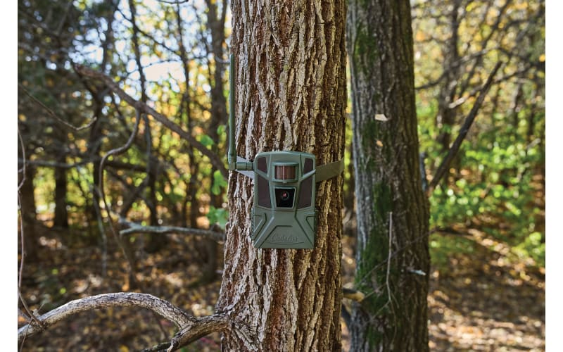 Cabela's Cellular Trail Camera Cabela's