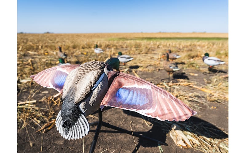 Lucky Duck Super Flapper HDi 2.0 Drake Mallard Motion Decoy