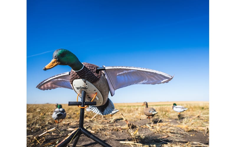 Lucky Duck Super Flapper HDi 2.0 Drake Mallard Motion Decoy