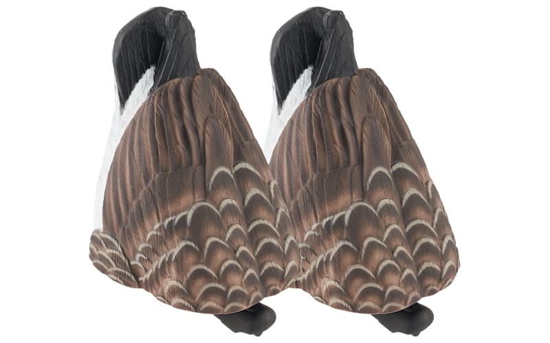 master1_101685559_main?pgw=1