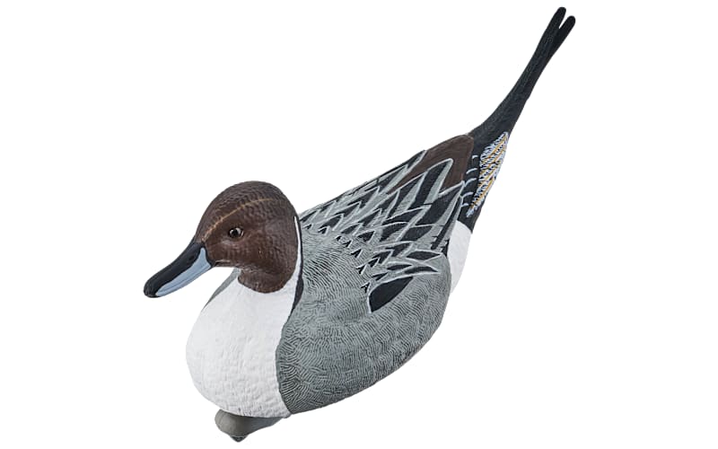 Northern Flight Big Spread Pintail Duck Decoy Pack