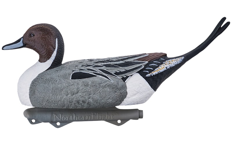 Northern Flight Big Spread Pintail Duck Decoy Pack