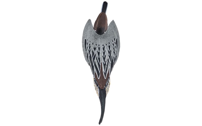 Northern Flight Big Spread Pintail Duck Decoy Pack