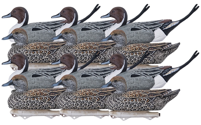 Northern Flight Big Spread Pintail Duck Decoys 12-Pack | Bass Pro
