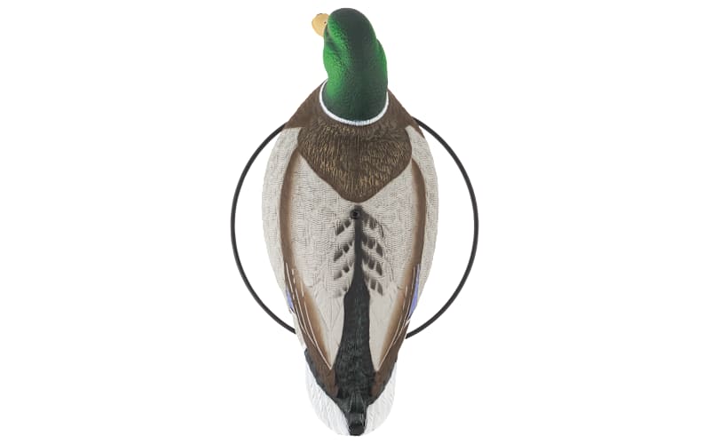 Northern Flight Big Spread Mallard Full-Body Duck Decoy Pack