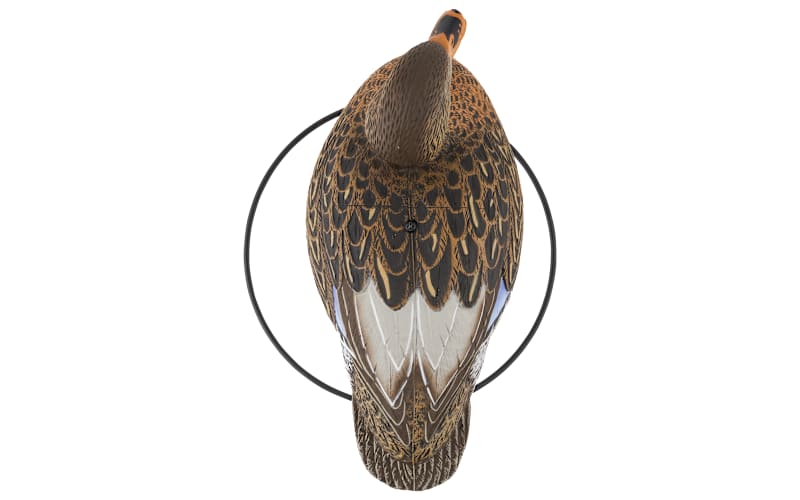 Northern Flight Big Spread Mallard Full-Body Duck Decoy Pack