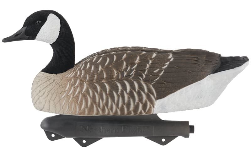 Northern Flight Big Spread Full-Body Canada Goose Floating Decoy Pack