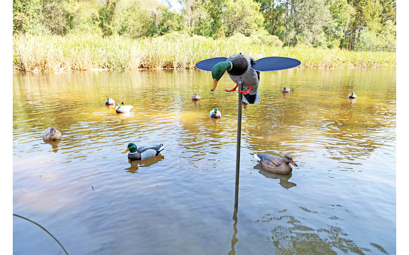 MOJO Outdoors Silver Mallard 25th Anniversary Motorized Duck Decoy