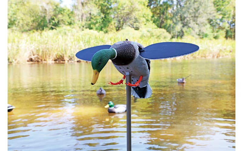 MOJO Outdoors Silver Mallard 25th Anniversary Motorized Duck Decoy