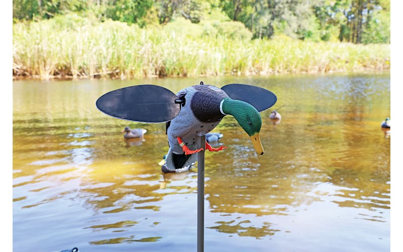 MOJO Outdoors Silver Mallard 25th Anniversary Motorized Duck Decoy