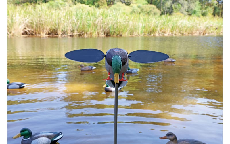 MOJO Outdoors Silver Mallard 25th Anniversary Motorized Duck Decoy