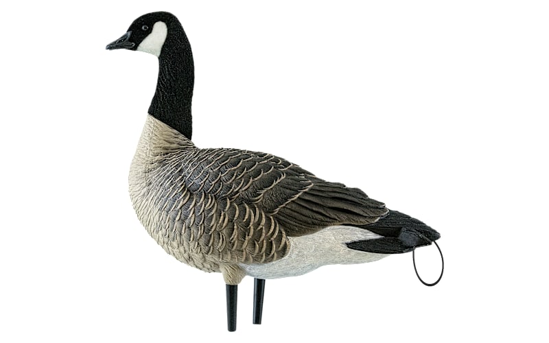 Avian-X Fully Flocked Lesser Canada Geese Decoys with Tail Loops 12 Pack