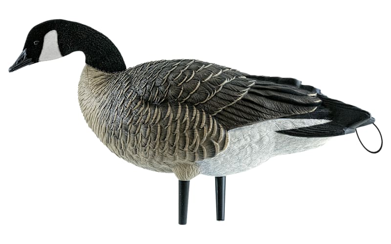 Avian-X Fully Flocked Lesser Canada Geese Decoys with Tail Loops 12 Pack
