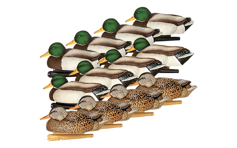 Avian-X Late Season Flocked Mallard Duck Decoys 12-Pack | Cabela's