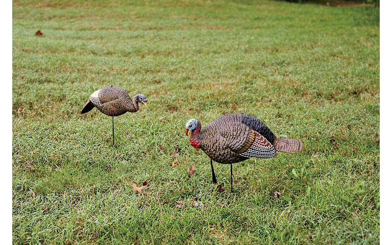 RedHead Flex Jake and Hen Turkey Decoy Combo | Mack's Prairie Wings