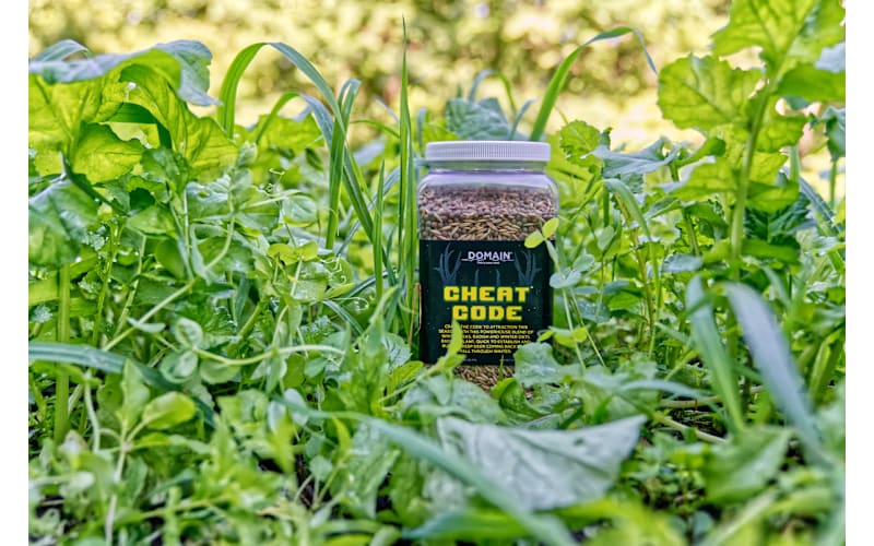 Domain Outdoors Cheat Code Food Plot Seed Mix | Cabela's