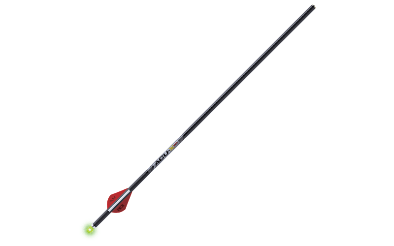TenPoint ACU-X 20 Premium Lighted Carbon Bolts for Rail-Less