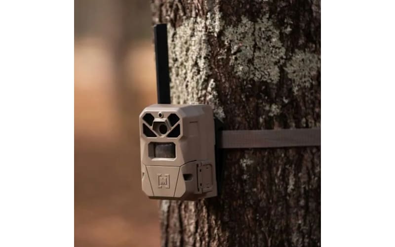 Moultrie EDGE 2 Cellular Trail Camera 2-Pack | Bass Pro Shops Canada