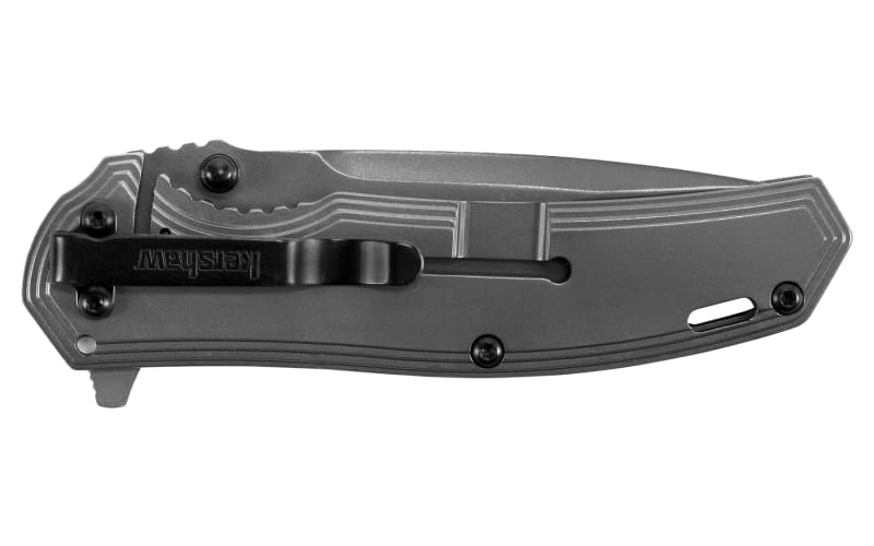 Kershaw Fringe 3-Inch Drop Point Assisted Opening Knife