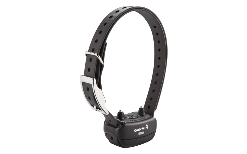 Bass pro bark collar top