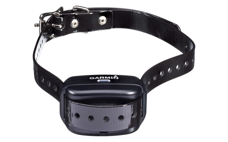 Garmin Barklimiter Deluxe Dog Collar Cabela's - Main Image