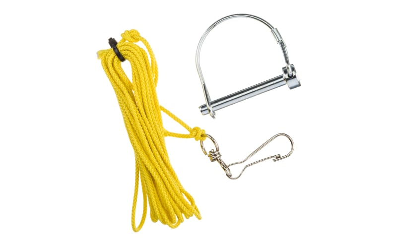Cabela's dog training supplies shop