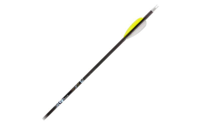 Gold Tip Lightning Youth Arrows | Bass Pro Shops