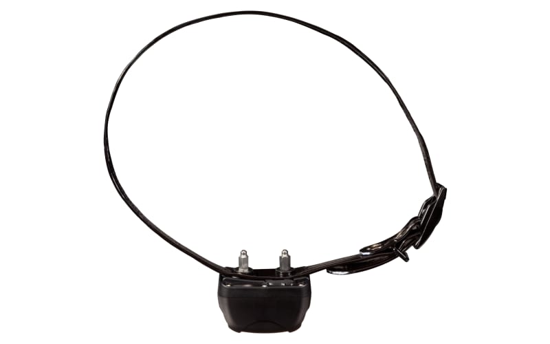 Dt systems e collar sales
