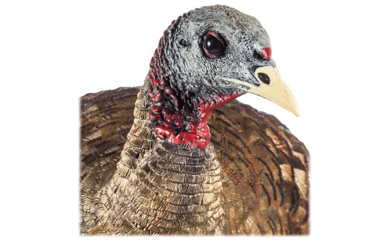 Avian-X LCD Breeder Hen Turkey Decoy | Cabela's
