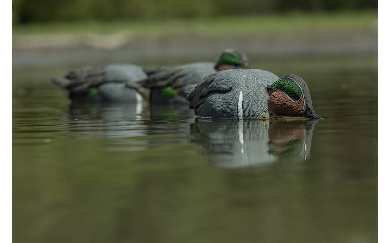 Avian-X Topflight Green-Winged Teal Duck Decoys 6-Pack | Cabela's