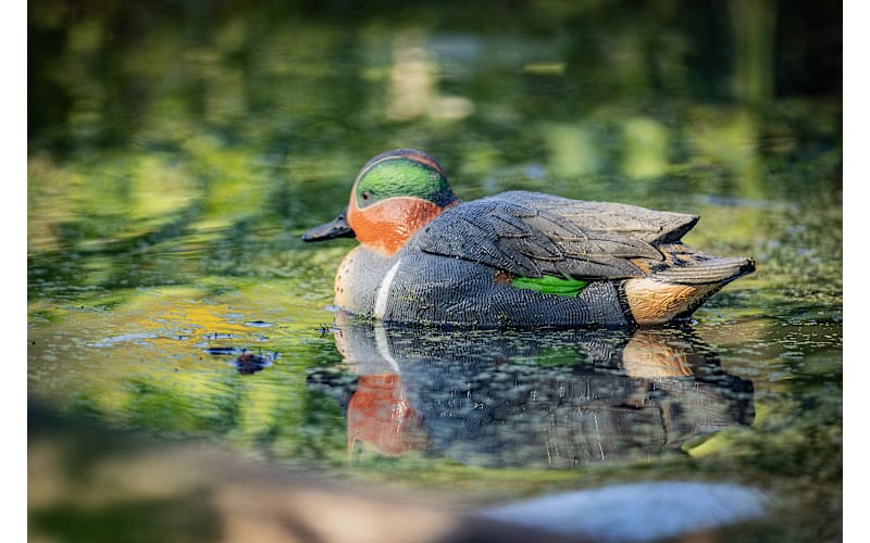 Avian-X Topflight Green-Winged Teal Duck Decoys 6-Pack | Cabela's