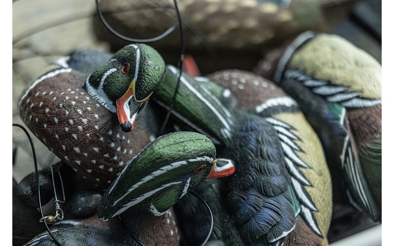 Avian-X Topflight Wood Duck Decoys 6-Pack | Bass Pro Shops