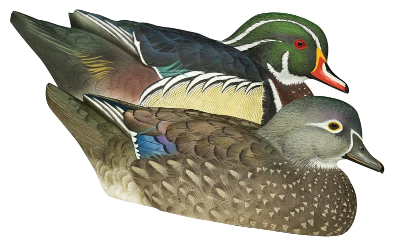 Avian X Topflight Canvasback Duck Decoys - Realistic Waterfowl Hunting Decoy Pack