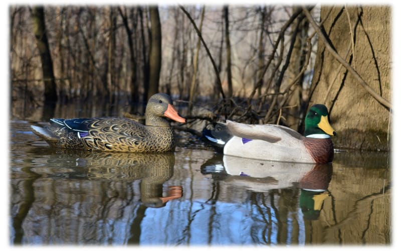 Higdon Battleship Duck Decoys - 6 Pack Foam Filled Gadwall Decoys For Waterfowl Hunting