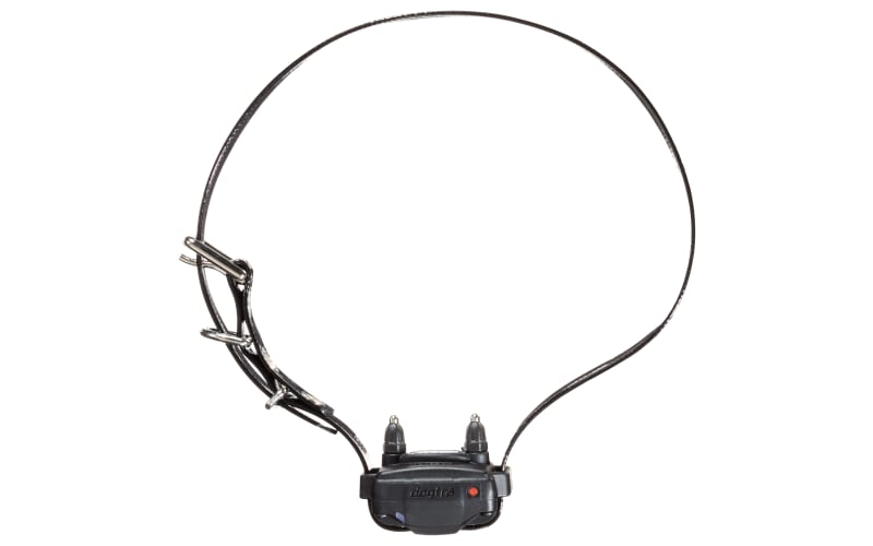 Dogtra 200C E Collar Dog Training System Bass Pro Shops