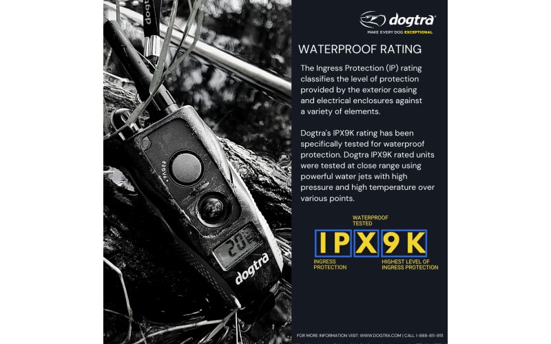 Dogtra 200 c sales