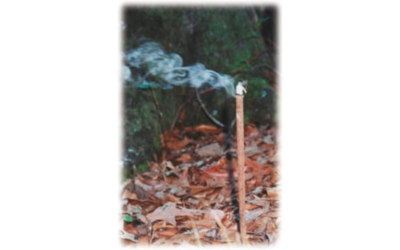seneca 120 cigarettes where to buy Seneca Carton: Buy Cigarettes Online