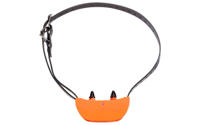 Sportdog upland hunter 1875 hot sale