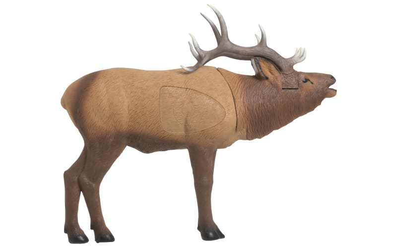 3d on sale archery targets