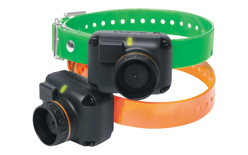 Bass pro shop shock collars shop