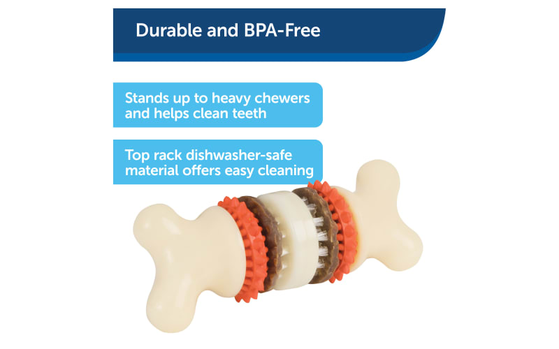 PetSafe Busy Buddy Bristle Bone, Keep Dog's Teeth Clean, Long