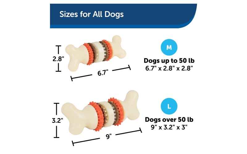PetSafe Busy Buddy BRISTLE BONE Dog Toy Dental Treat and Chew Large