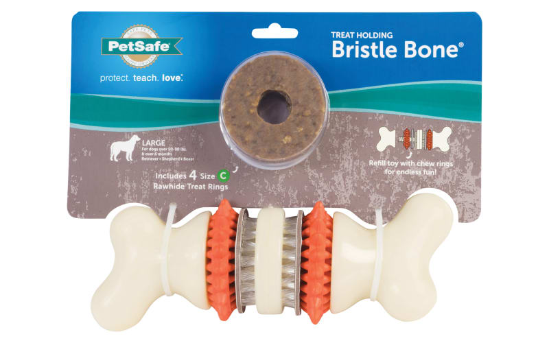 PetSafe Busy Buddy Bristle Bone, Keep Dog's Teeth Clean, Long
